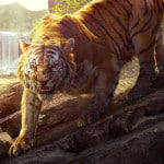 Introducing Sher Khan – The Jungle Book